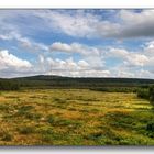 Moorlandschaft II