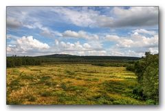 Moorlandschaft II