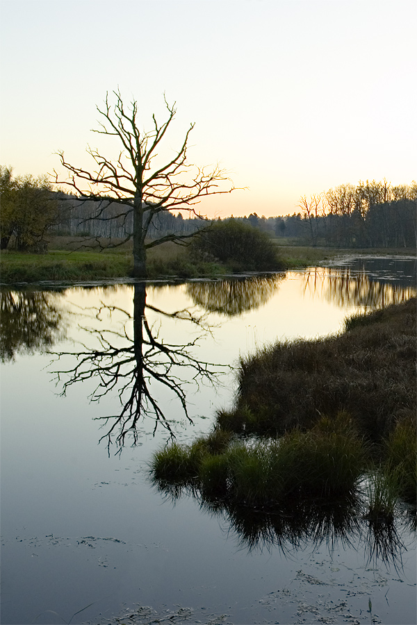 Moorlandschaft - III