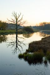 Moorlandschaft - III