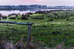 Moorlandschaft III- Steinhuder Meer