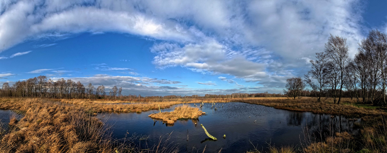 Moorlandschaft im Herbst !