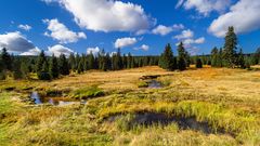 Moorlandschaft im Isergebirge