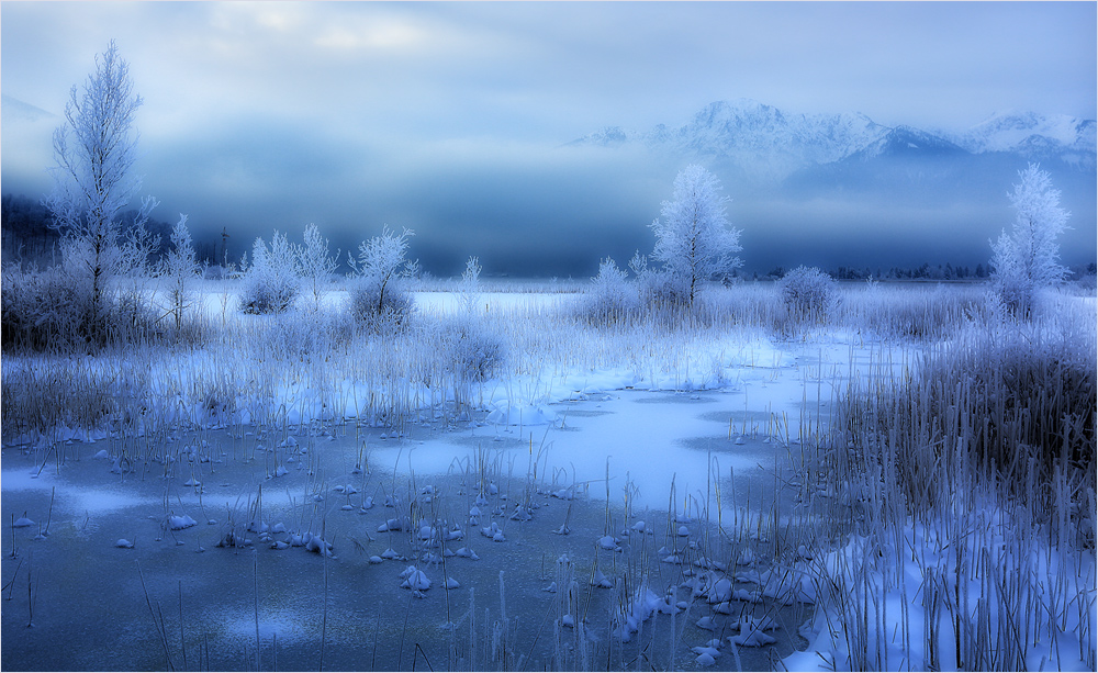 Moorlandschaft im Winter