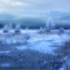 Moorlandschaft im Winter