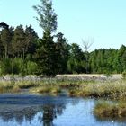 Moorlandschaft in Niedersachsen