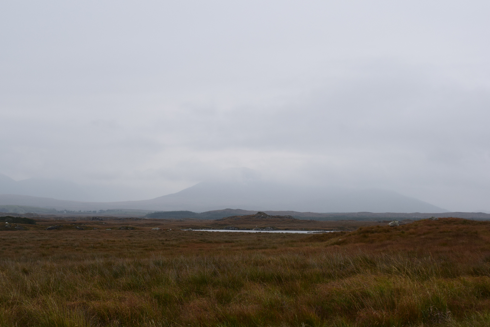 Moorlandschaft Irland