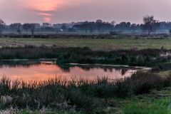 Moorlandschaft IV - Steinhuder Meer