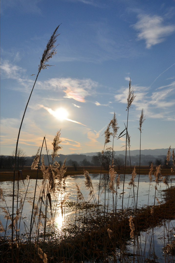 Moorlandschaft Maschwanden