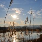 Moorlandschaft Maschwanden