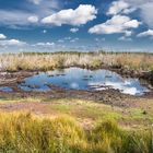 Moorlandschaft mit Spiegelung