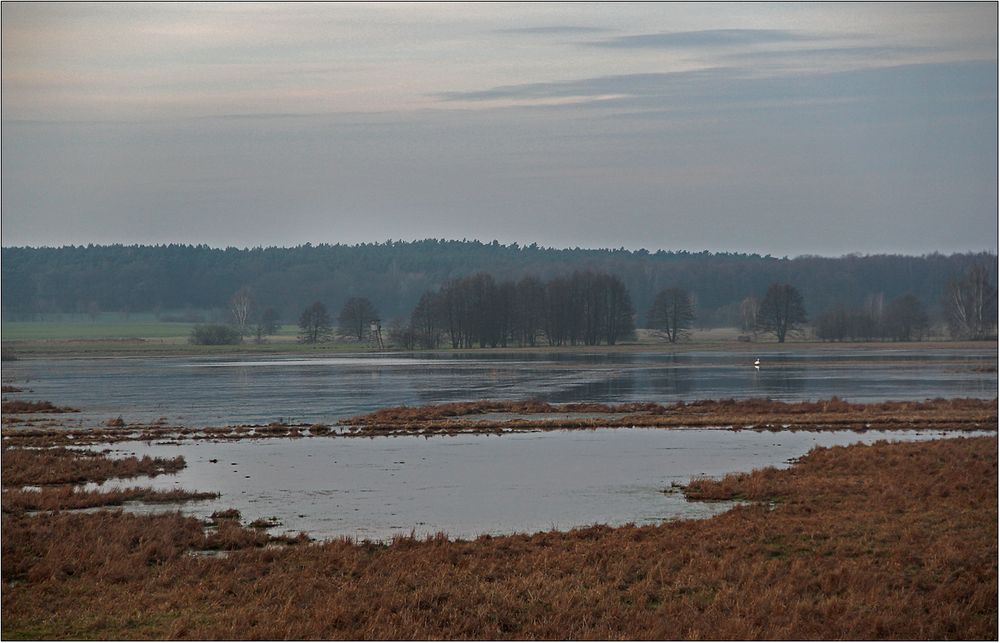 Moorlandschaft mit Storch.