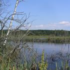 Moorlandschaft Nahe Bad Dürrheim