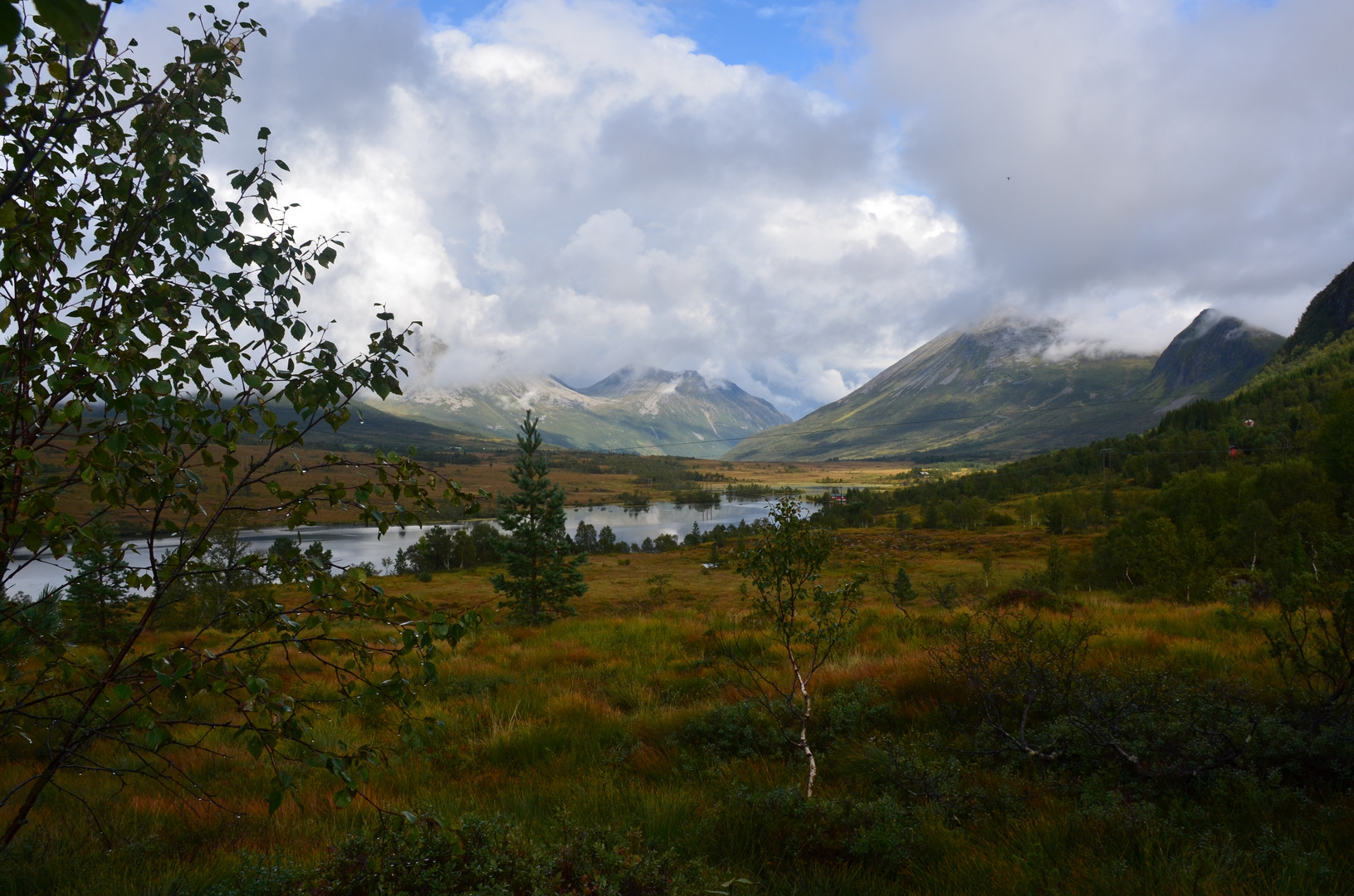 Moorlandschaft Norge