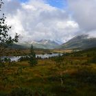 Moorlandschaft Norge