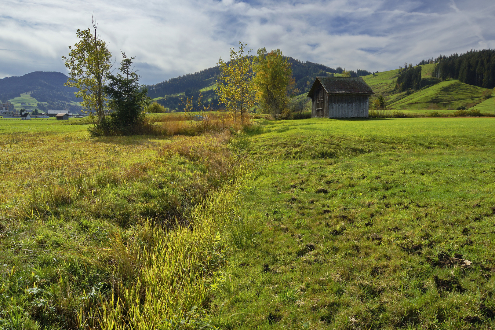 Moorlandschaft Rothenthurm