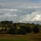 Moorlandschaft Schwantenau