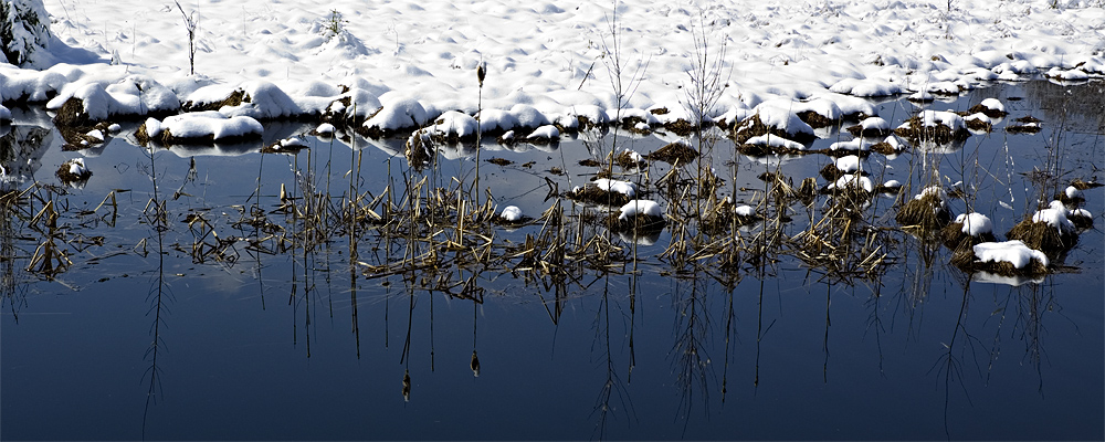 Moorlandschaft - V