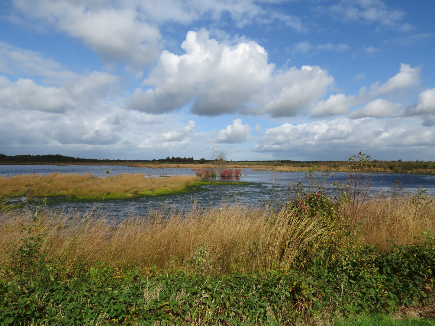 "Moorlandschaften im Herbst"