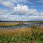 "Moorlandschaften im Herbst"