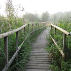 Moorlehrpfad am Schaalsee