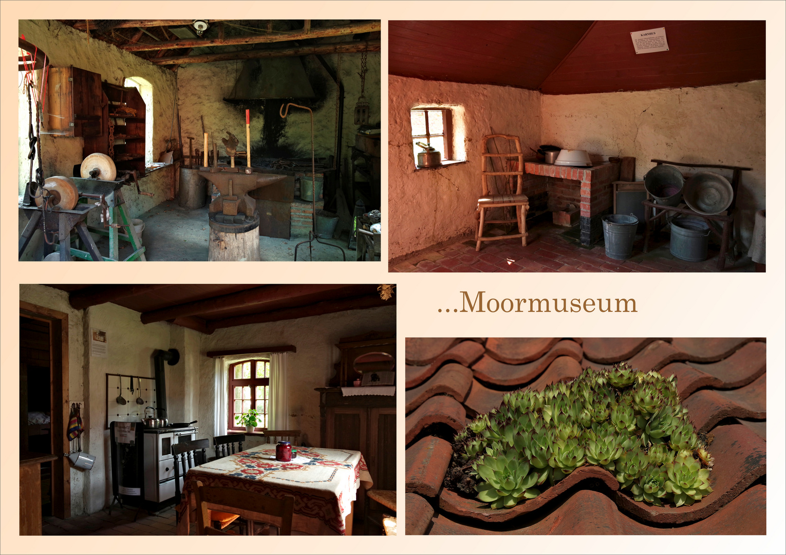 Moormuseum 