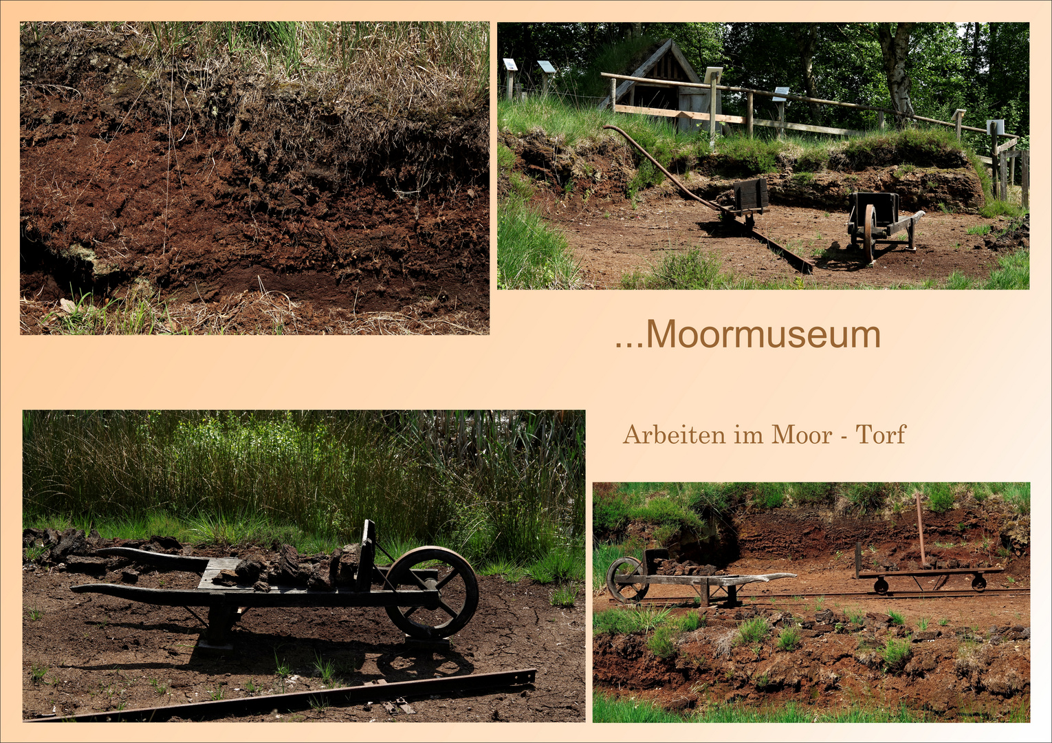 Moormuseum 