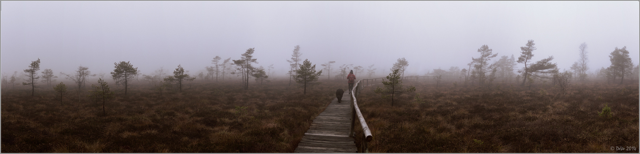 Moornebel