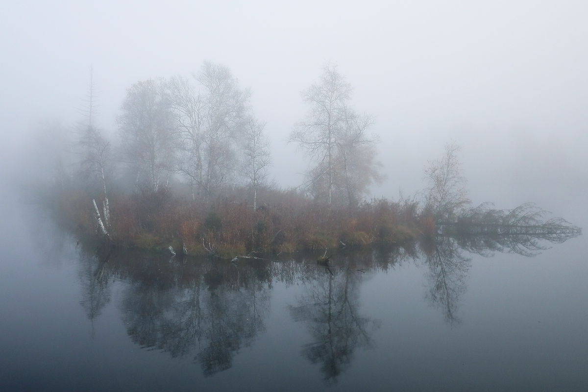 Moornebel