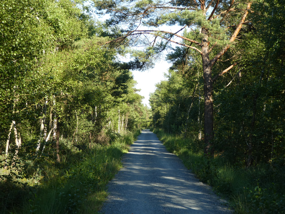 Moorradweg  (Mardorf nach Steinhude)