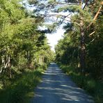 Moorradweg  (Mardorf nach Steinhude)