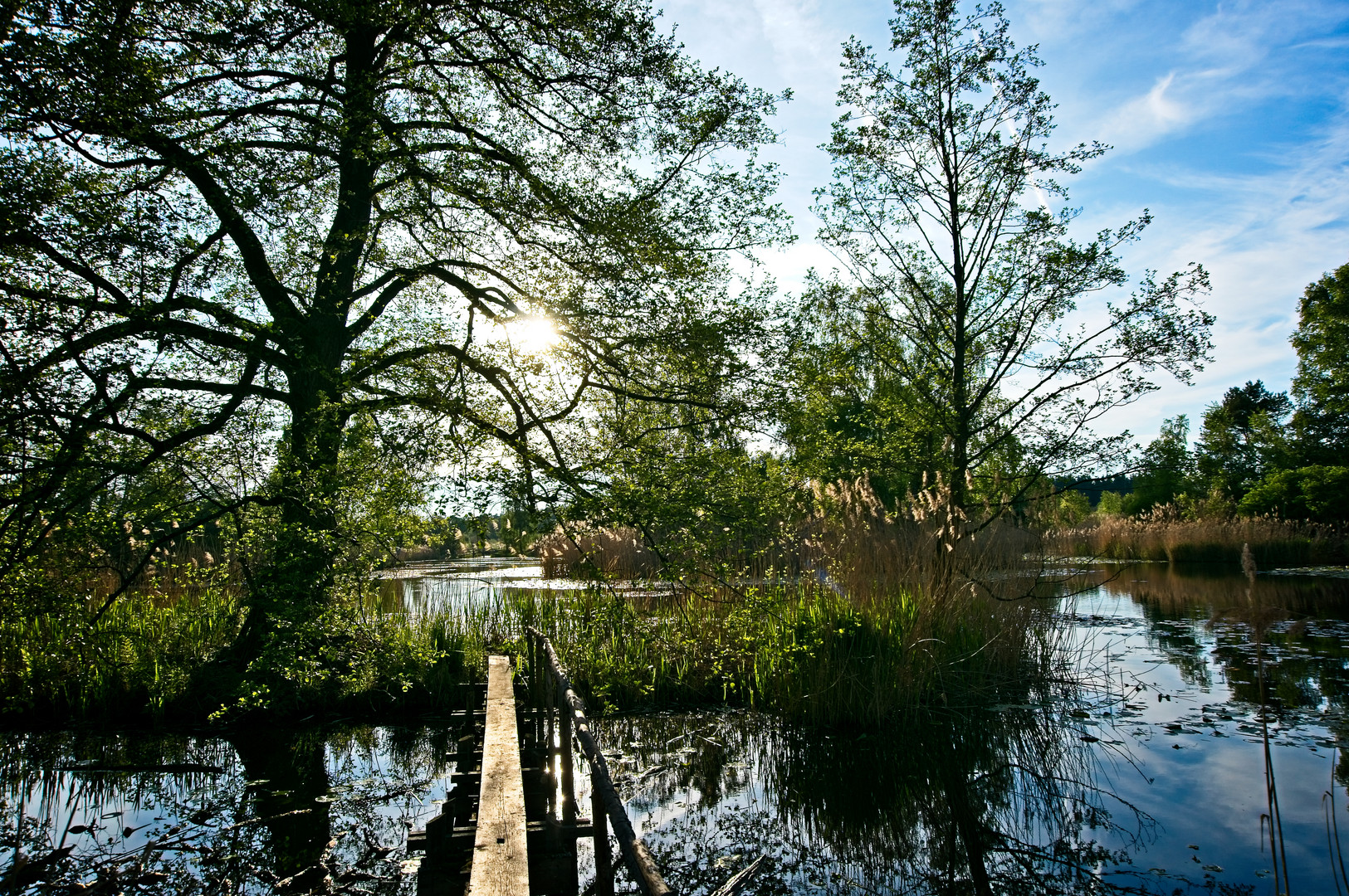 Moorsee