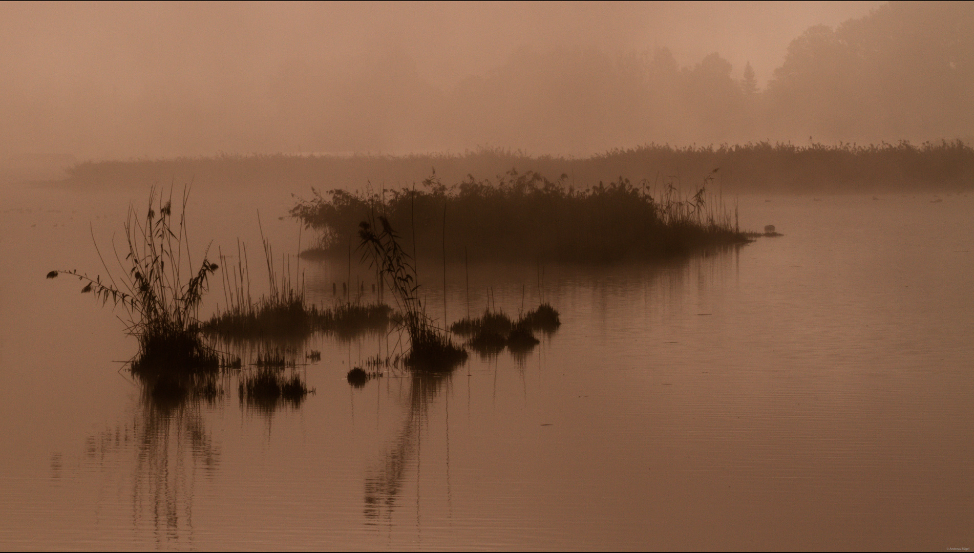 Moorsee