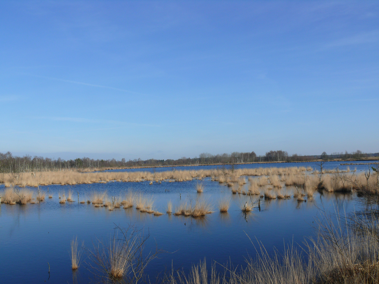 Moorsee