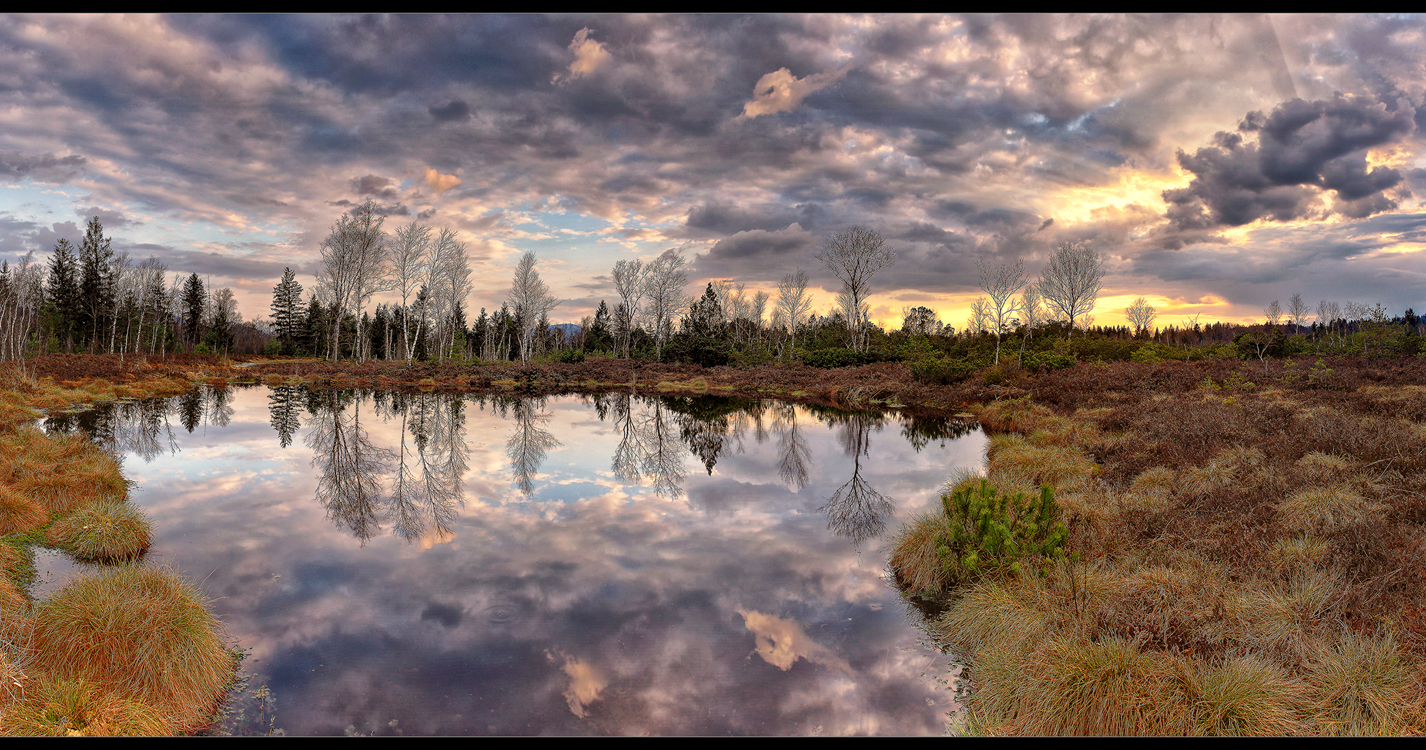 Moorsee am Abend ....04.2013