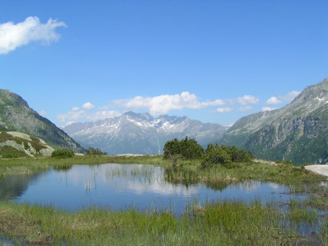 Moorsee bei Göschenen