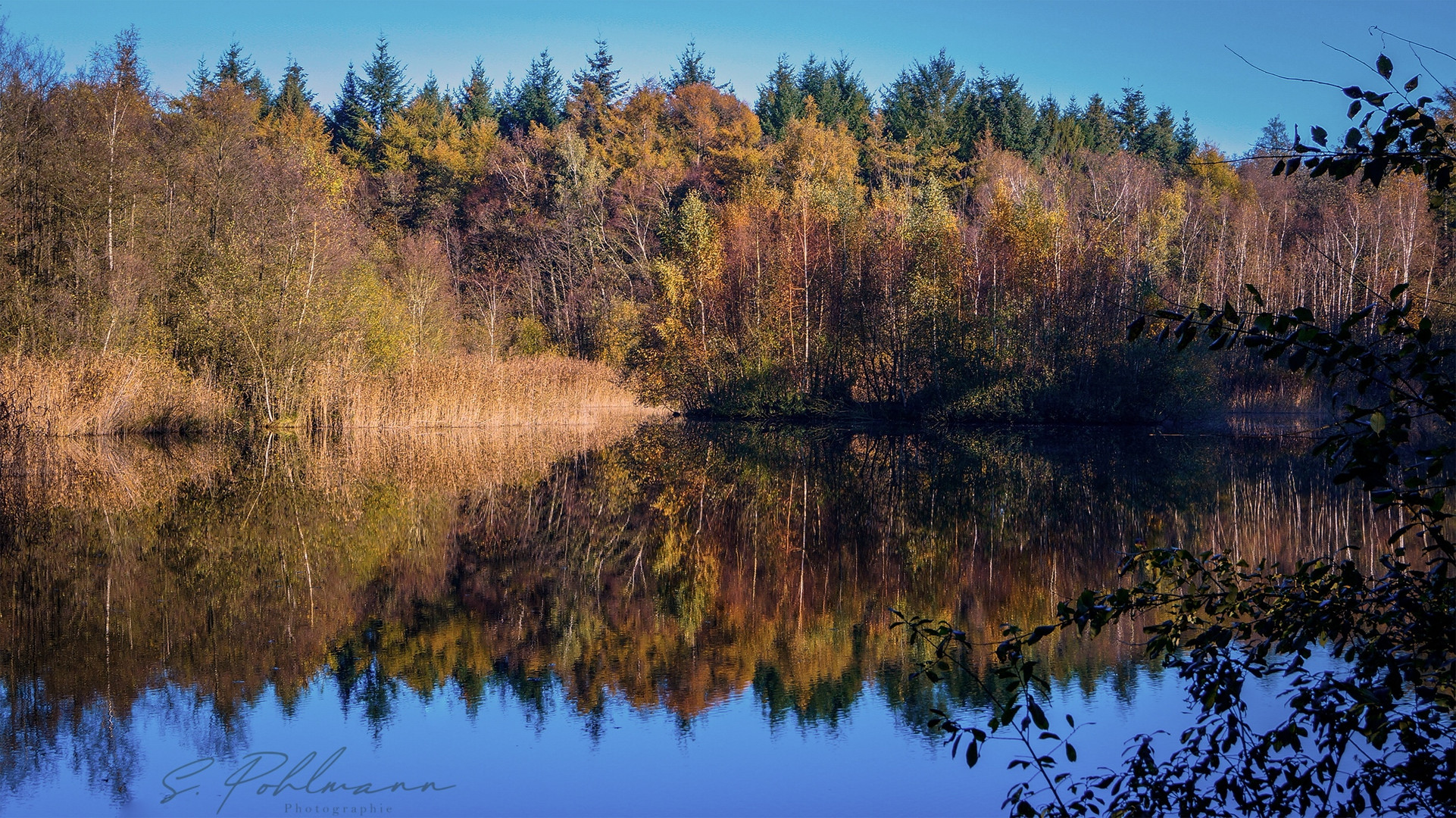 Moorsee