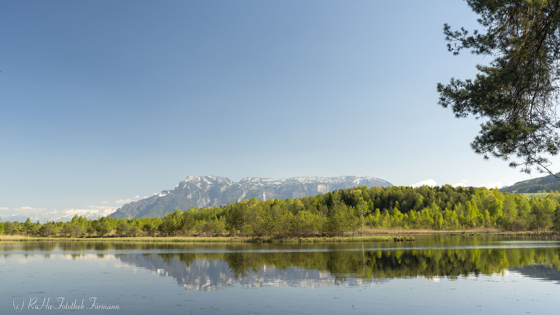 Moorsee im Ainringer Moor - Rupertiwinkel - Bayern