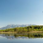 Moorsee im Ainringer Moor - Rupertiwinkel - Bayern