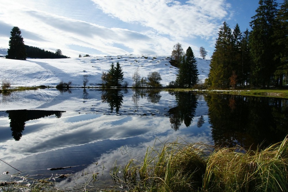 Moorsee im Allgäu