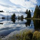 Moorsee im Allgäu