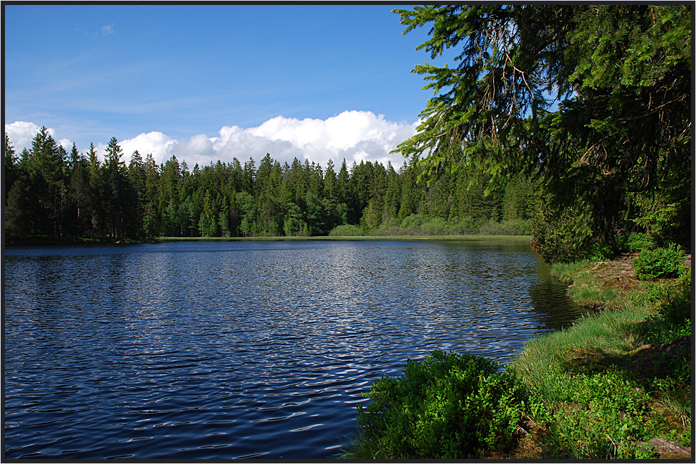 Moorsee im französischen Jura