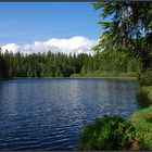 Moorsee im französischen Jura