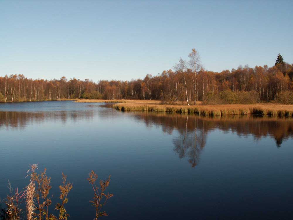 Moorsee im Herbst