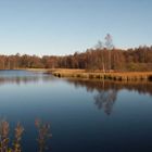 Moorsee im Herbst