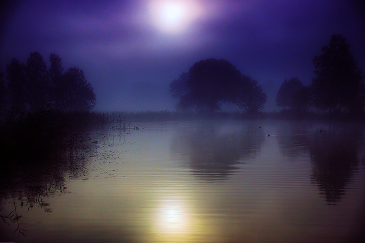 Moorsee im herbstlichen Nebel von bluecarpet 