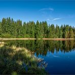 MOORSEE IM JURA