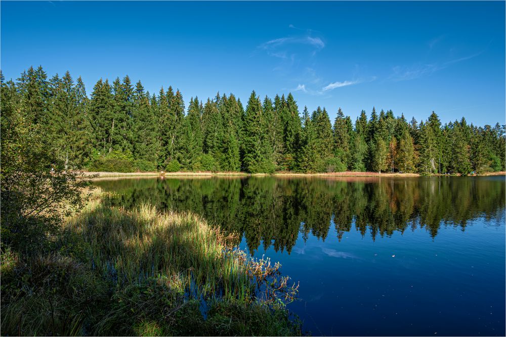 MOORSEE IM JURA