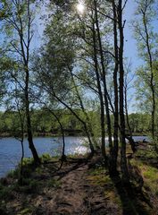 Moorsee im Kaltenhofer Moor