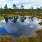 Moorsee im Lahemaa Naturpark in Estland